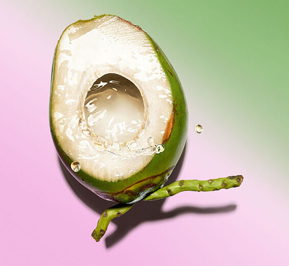 Coconut tree-Coconut oil-Cocos nucifera (Coconut) oil