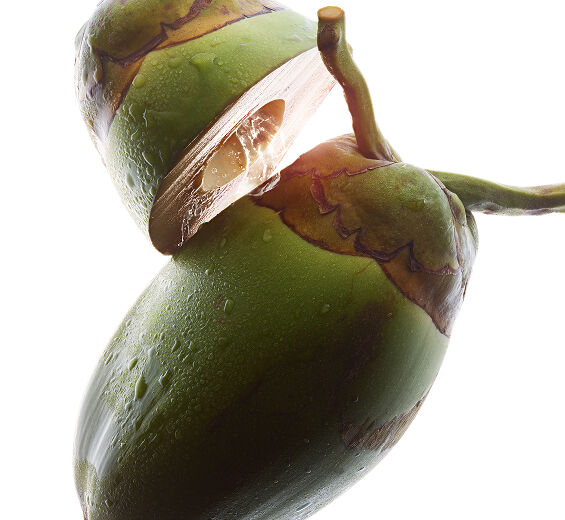 Coconut tree-Organic coconut water-Cocos nucifera (coconut) fruit juice