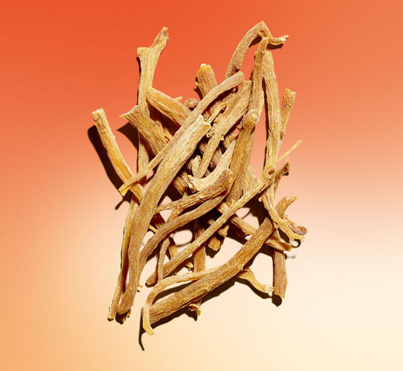 Ginseng-Organic red ginseng extract-Panax ginseng root extract