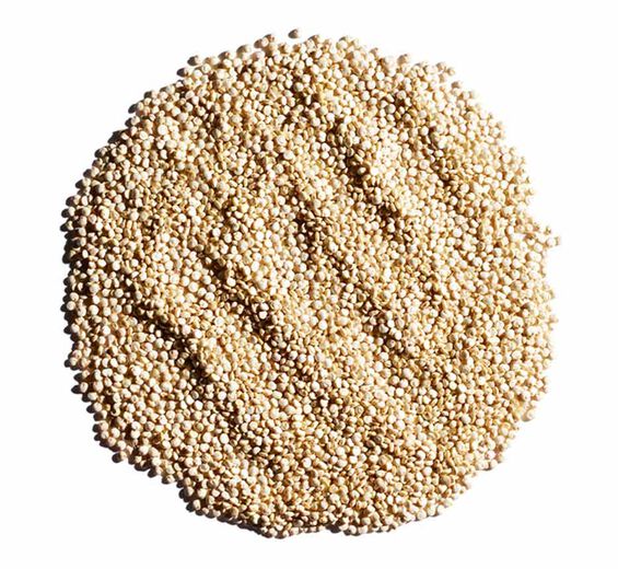 Quinoa-Organic quinoa extract-CHENOPODIUM QUINOA SEED EXTRACT