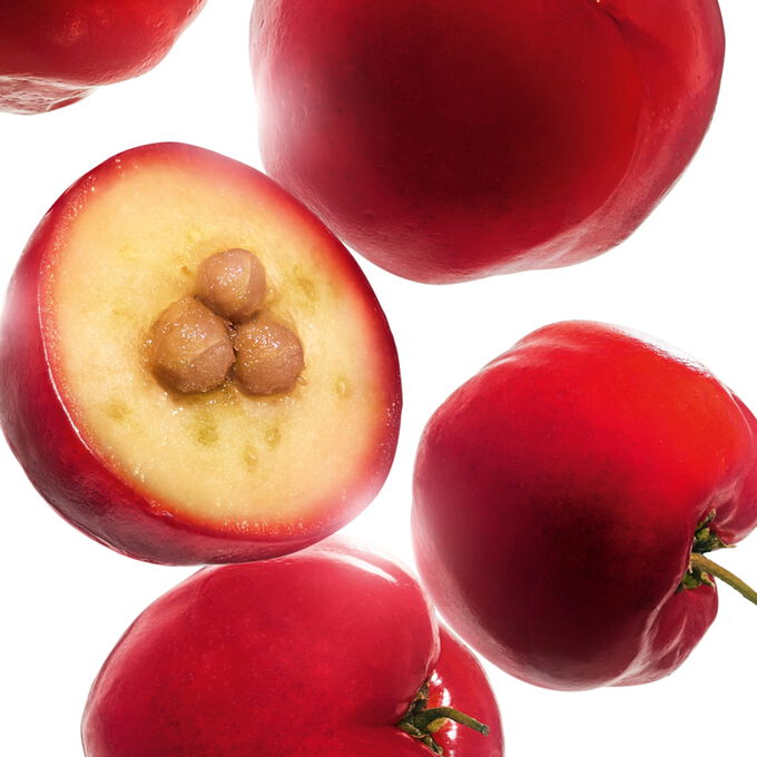 Re-boost hydra-energizing tinted cream with acerola seed extract