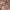 satin taupe satin taupe