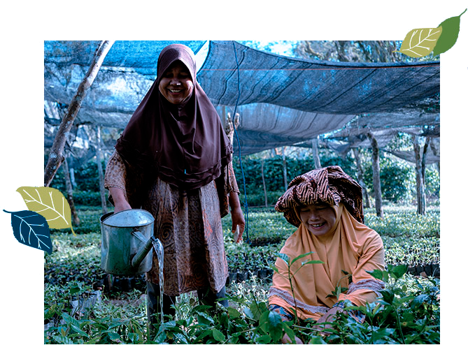 Maksyarin and Sulaini watering the plants