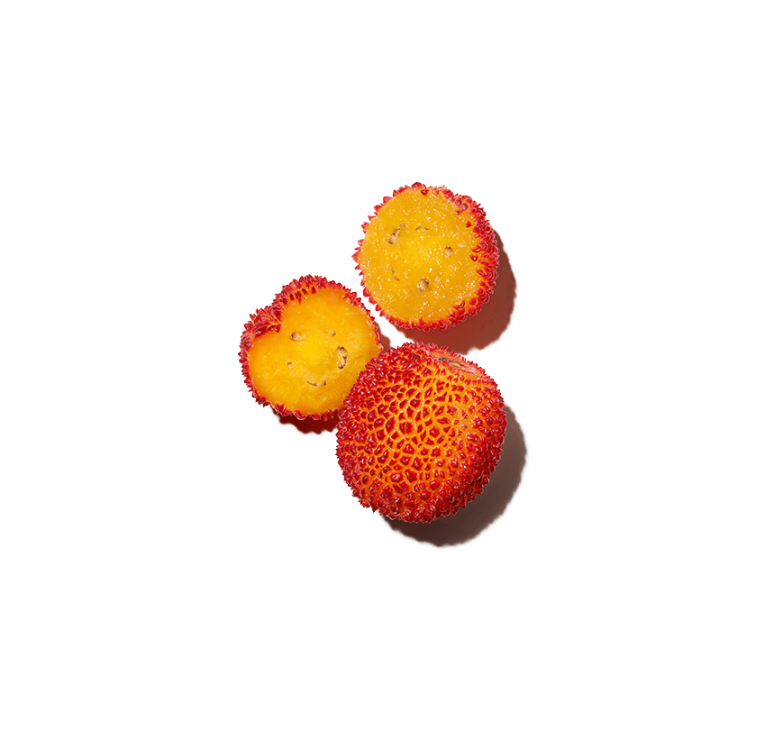 Organic strawberry tree fruit extract ingredient Organic strawberry tree fruit extract ingredient