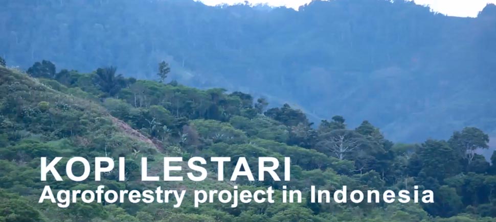 Agroforestry project video
