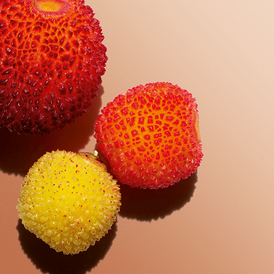 Strawberry tree fruit