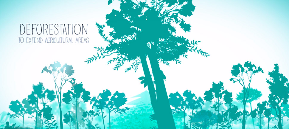 Pur project agroforestry video