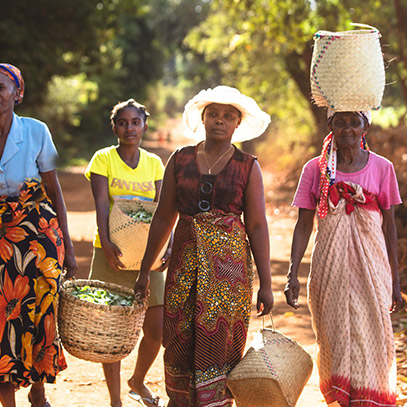 Visuel femmes récoltant des plantes